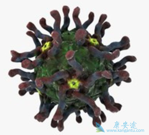 ��������ײ���