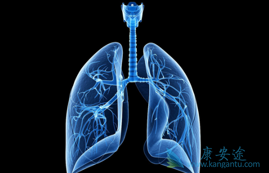 ����ά��