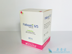 palbociclib�����˵�ҩ���ٰ��ڷ�������һ�ߵĵ�λ