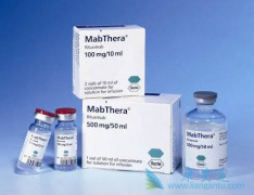 �ǻ�����ܰ�������Ӧ�����ע�����޻�(Ristova)���ƣ�