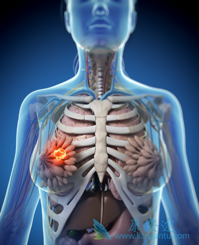 ���ٰ��ڷ�������