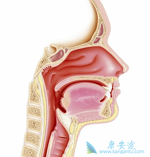 ���ʰ�����