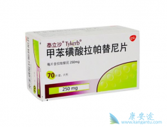 ��������(Lapatinib)�����ٰ���ת�ƾ��кܺõĿ�������