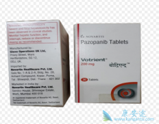 ��������/������������PD-1����RCC���ߵ���Ч�ʸ��ڵ�ҩ����