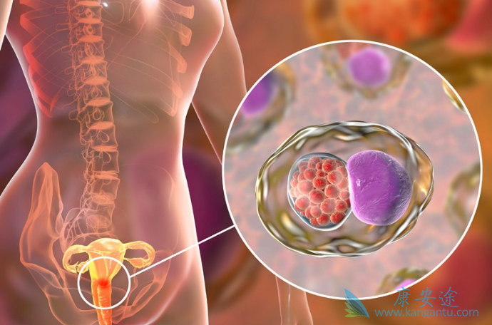 �����������ܻ���