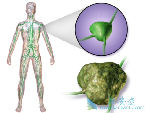 �ܰͰ�����