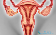 �ѳ������ĳ���֢״��ʲô���ᷢչΪ�ѳ�����