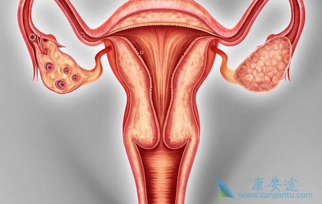 �ѳ�����