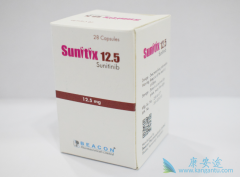 ��������(sutent)�ļ����汾�м�����