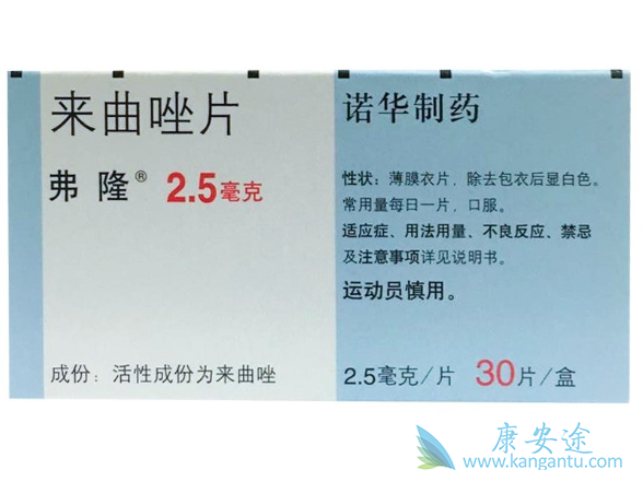 ������Ƭ