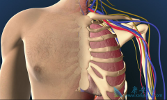 ԭ���Էζ�����ѹ����ʸ߲��ߣ�����Щ�����йأ�