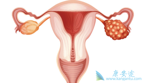 �ѳ�������