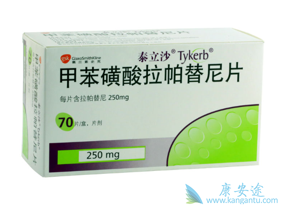 拉帕替尼 拉帕替尼