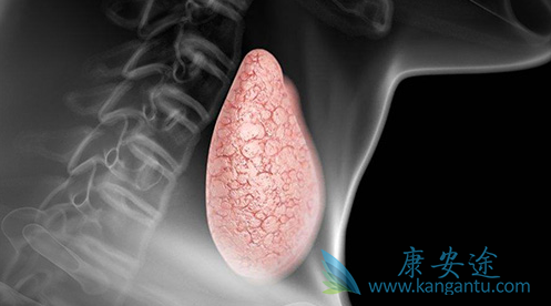 ��״������