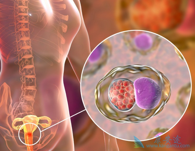 ���������κ���