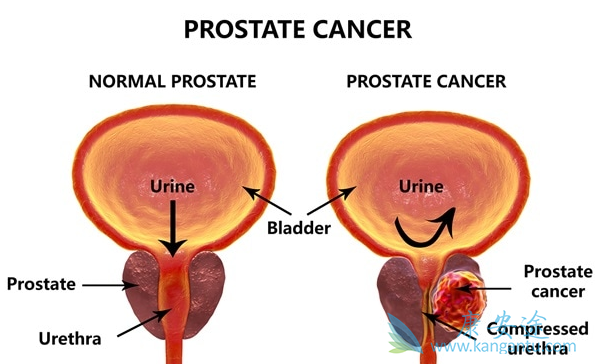 ǰ���ٰ��ܻ���