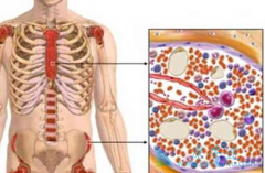 �ٴ��ϵĹ��谩���Ʒ���������Щ��