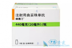 ���ٰ�ҩ�������鵥��(Herceptin)�����Ʒ���