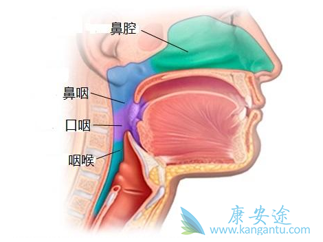 ���ʰ����κ���