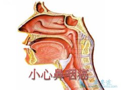 �յ���������ͬ�ڷŻ��ƿ�������߱��ʰ������