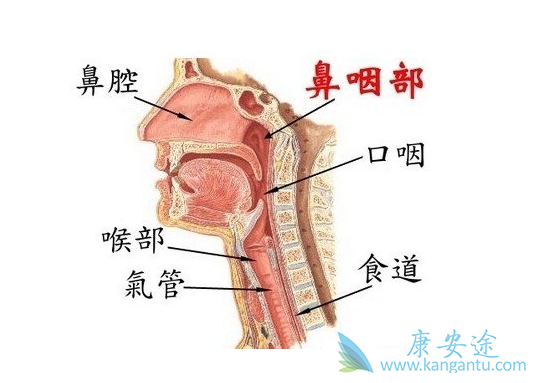 ���ʰ�����