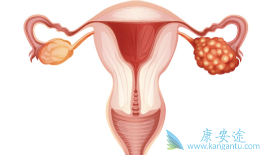 �ѳ�������