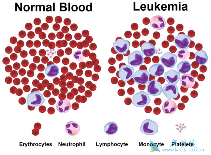 ��Ѫ�����κ���