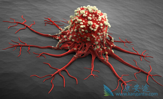 �����������������������