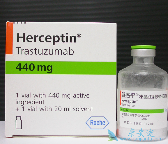 ����͡����Ч