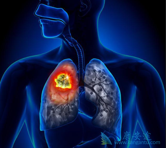 �ΰ����ڿ����κ���