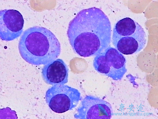 �෢�Թ�����֢״