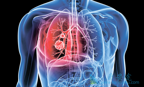 �ΰ���������