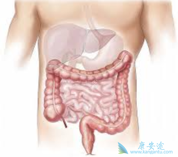 �������ƽ᳦��