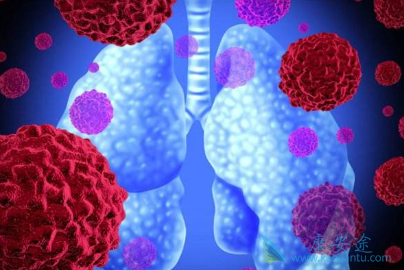 �ط��Է���ά��