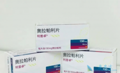 ��������(lynparza)���ѳ������ߵ�������ʲôӰ�죿