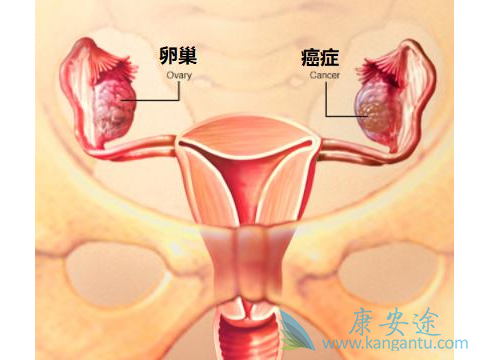 �ѳ���������֢״