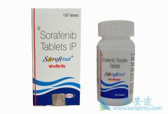 �༪��(sorafenib)Ӧ�ù����������������ʹ��
