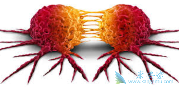 ��Ѫ����Ⱦ��