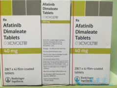 ��������(afatinib)���һ��EGFR-TKIs�ܹ��ӻ�������ҩʱ��