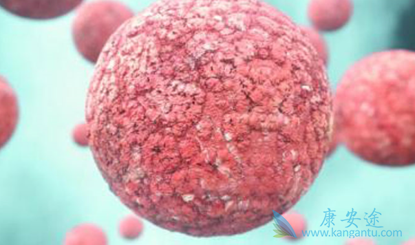 ������ܰ���