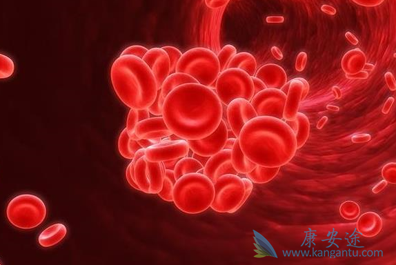 ������ά��