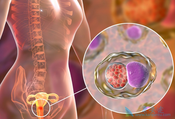 ������֢״