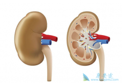 ��������֢״��ʲô���֣���Щ������ת��֢״��