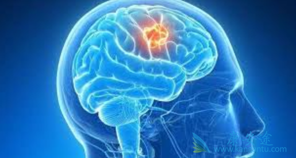 �Բ�����