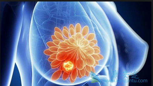 ���ٰ���ԭ��