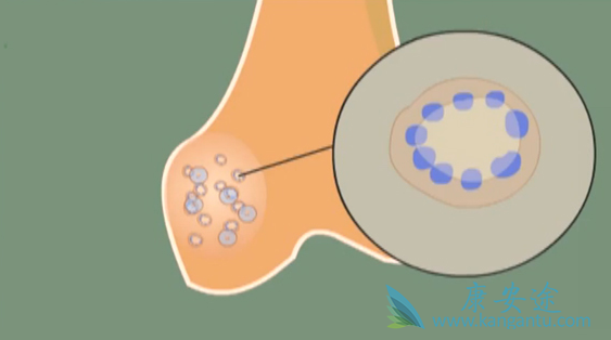 ˫������