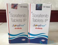 ӡ�ȶ༪��˵����Ͱݶ��ṩ��һ����