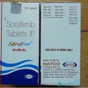 ��̥���׿�Ԥ��༪��(sorafenib)����TACE���ƽ�չ��HCC���ߵ�����
