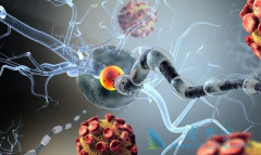 �������ڻ�����ܰ�����ע��������ҩ��Ŀǰ�Ѿ�����