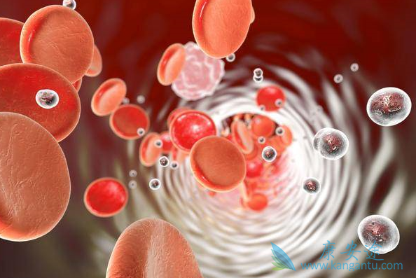 ������ϸ���԰�Ѫ��